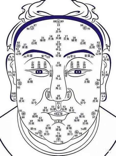 鼻子看面相|史上最全的面相五官“算命”图文详解（精品收藏）